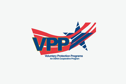 Logotipo VPP