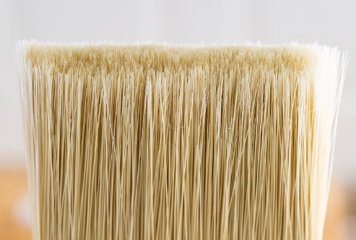 Closeup of Purdy brush filaments.